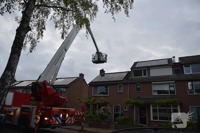 Brand in schoorsteen van woning