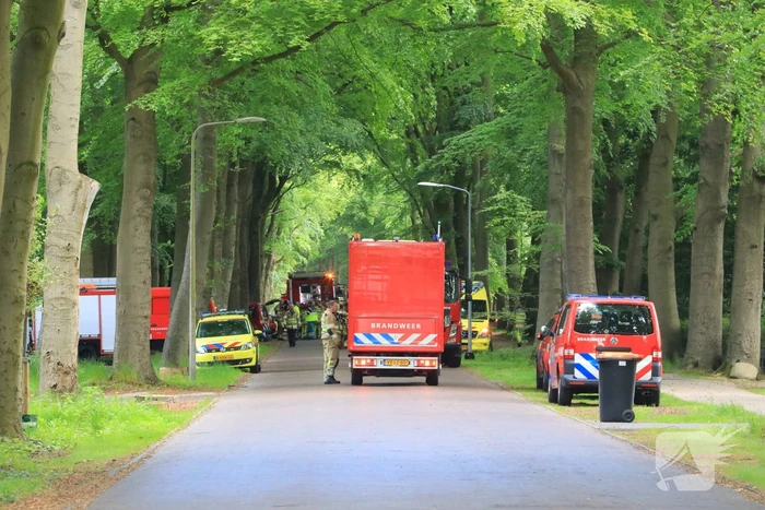 Gifwolk bij schoonmaken zwembad