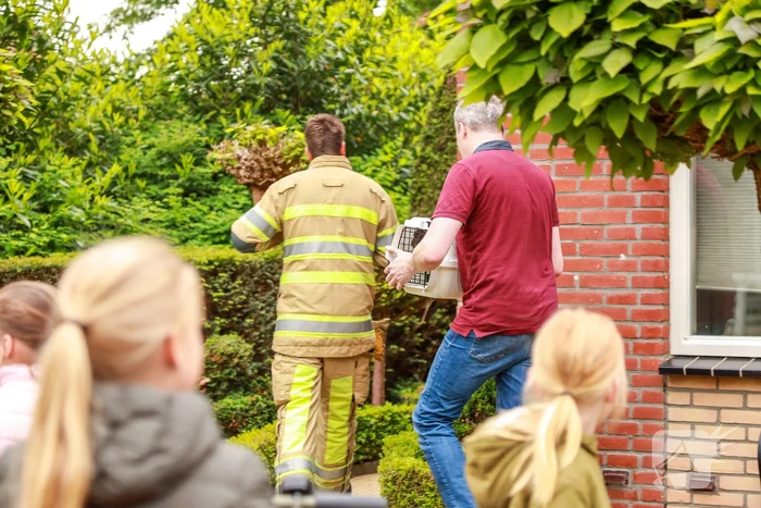 Woning vol rook