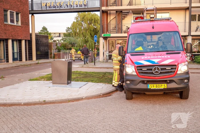 Dode meerkoet-moeder uit nest gehaald