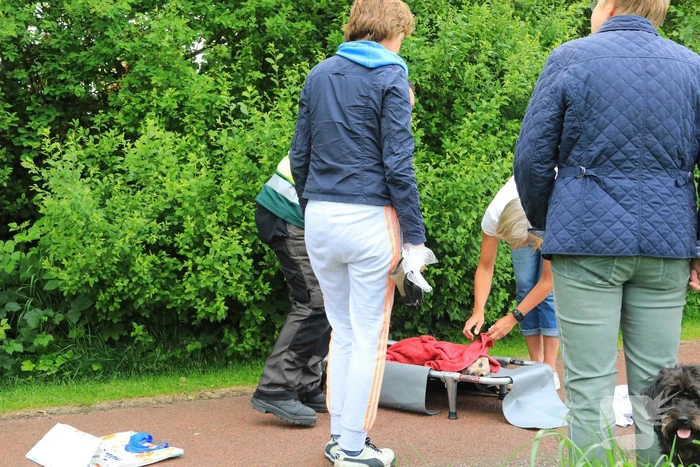 Hondje aangevallen door uitgebroken herder