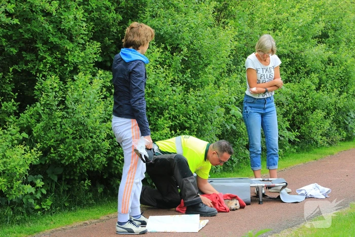 Hondje aangevallen door uitgebroken herder