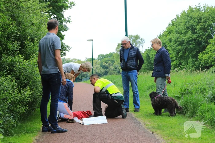 Hondje aangevallen door uitgebroken herder