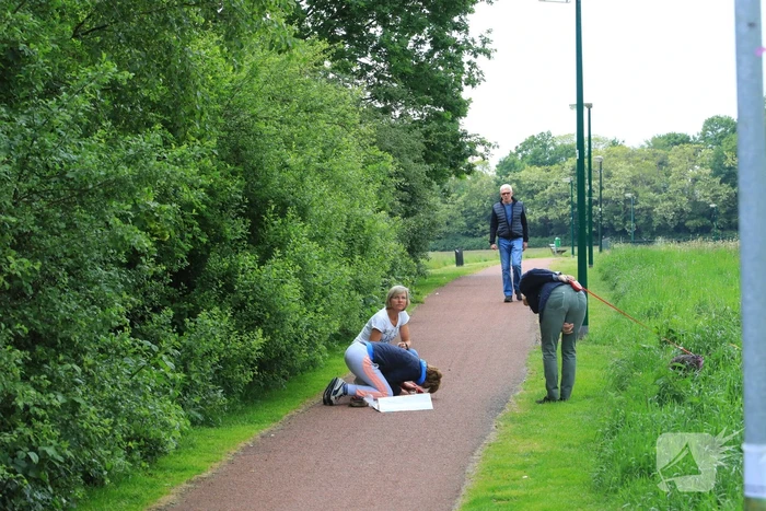 Hondje aangevallen door uitgebroken herder