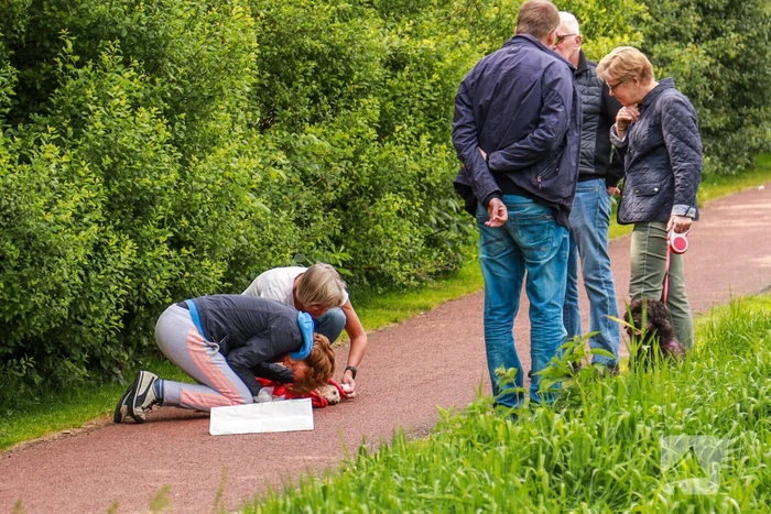 Hondje aangevallen door uitgebroken herder