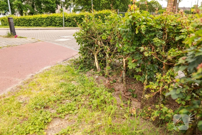 Scooterrijder (55) overleden bij noodlottig ongeval