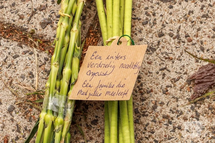 Scooterrijder (55) overleden bij noodlottig ongeval
