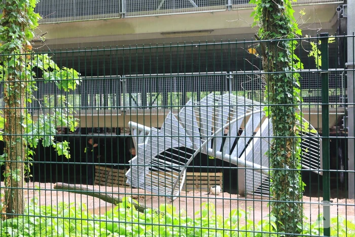 Bouwvakker overleden bij ongeval bouwplaats