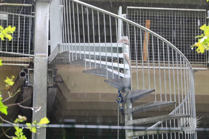 Bouwvakker overleden bij ongeval bouwplaats