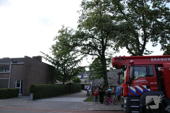 Poes wordt gewekt door de brandweer en vlucht het dak op