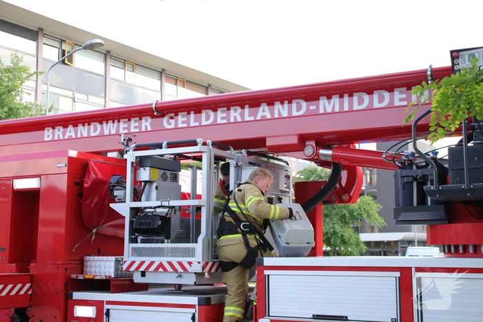 Poes wordt gewekt door de brandweer en vlucht het dak op