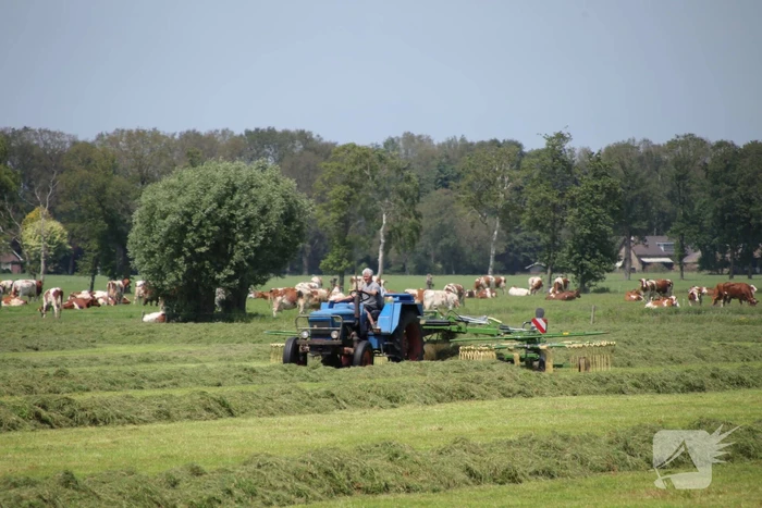 Boeren profiteren maximaal van het weer tijdens het hooien