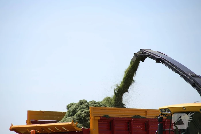 Boeren profiteren maximaal van het weer tijdens het hooien