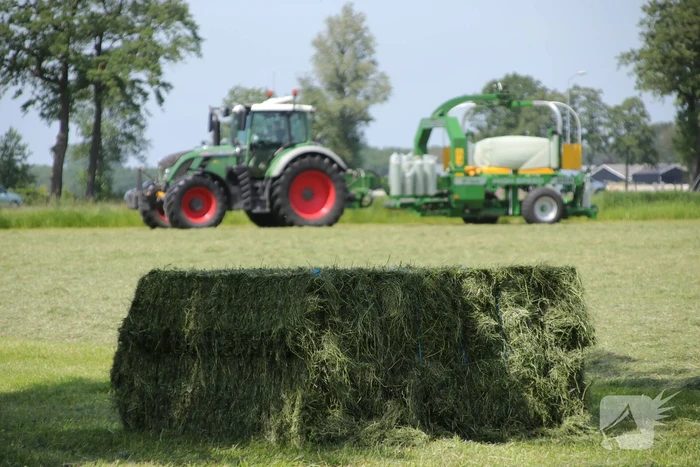 Boeren profiteren maximaal van het weer tijdens het hooien