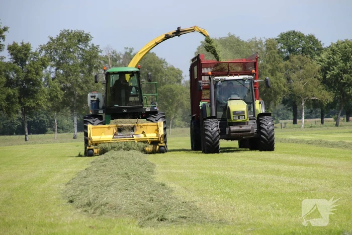 Boeren profiteren maximaal van het weer tijdens het hooien
