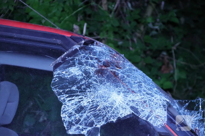 Gewonde bestuurder vlucht na crash