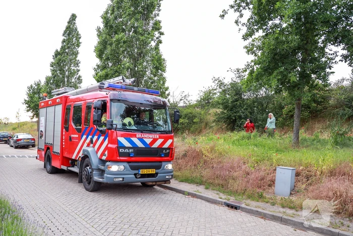 Brand op geluidswal