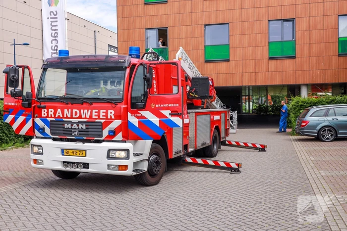Vogel vliegt tegen raam en zit vast