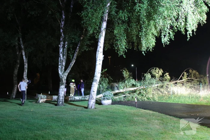 Veel stormschades in midden Nederland