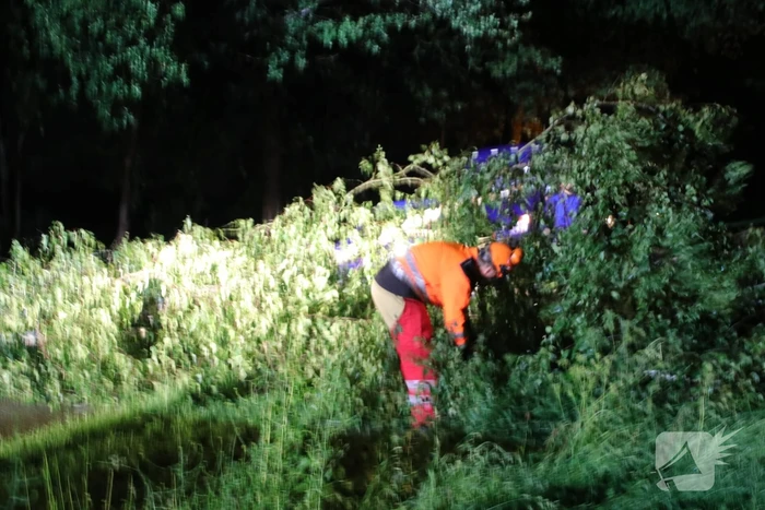 Veel stormschades in midden Nederland