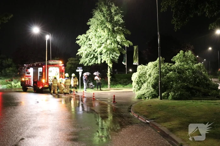 Veel stormschades in midden Nederland