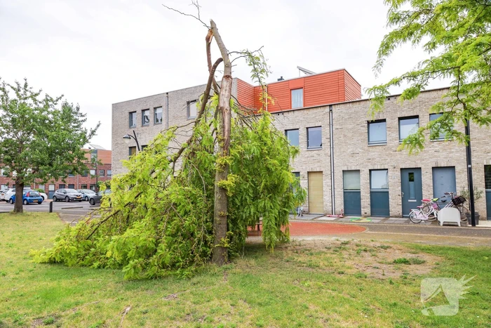 nieuws eschberg amersfoort