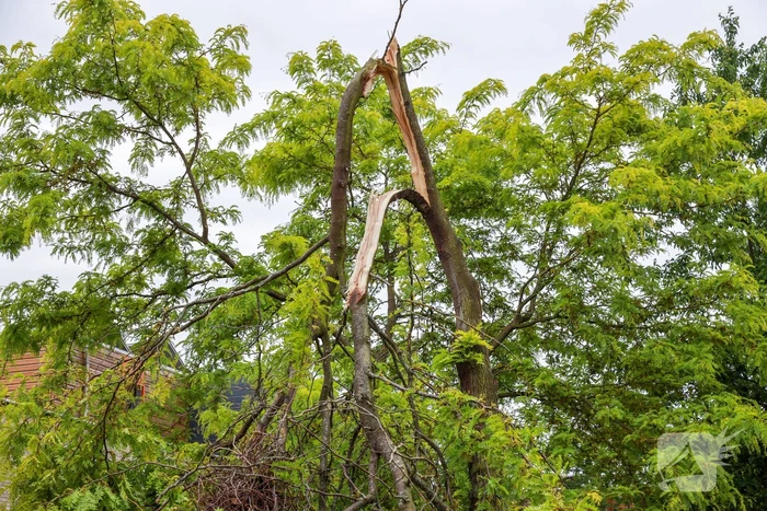 Boom omgeknakt door storm
