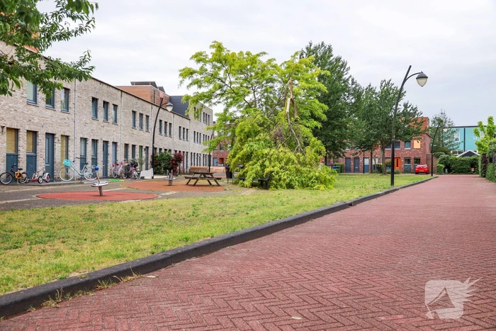 Boom omgeknakt door storm