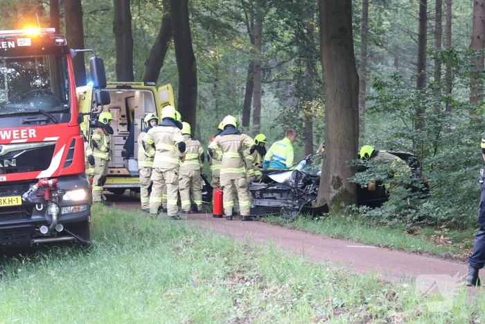 Auto botst op boom