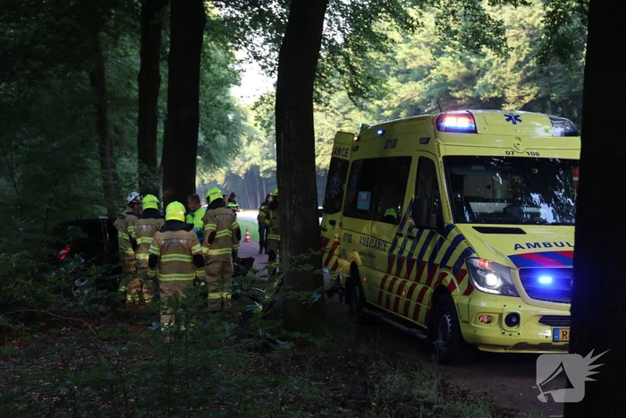 Auto botst op boom