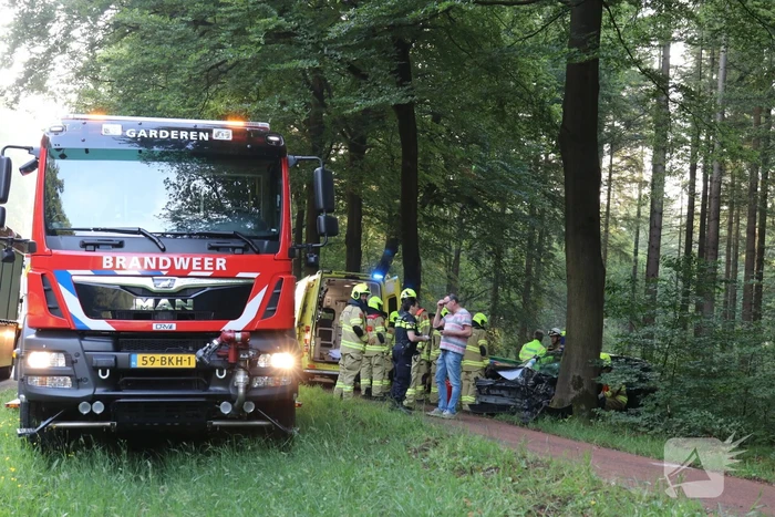 Auto botst op boom