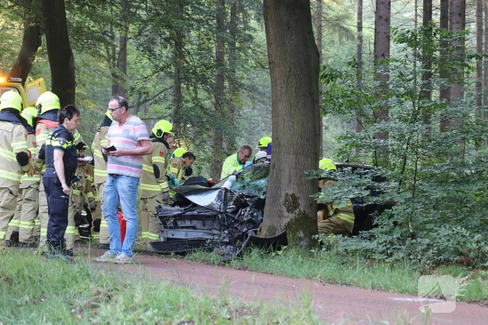 Auto botst op boom