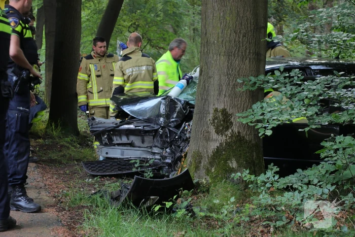 Auto botst op boom