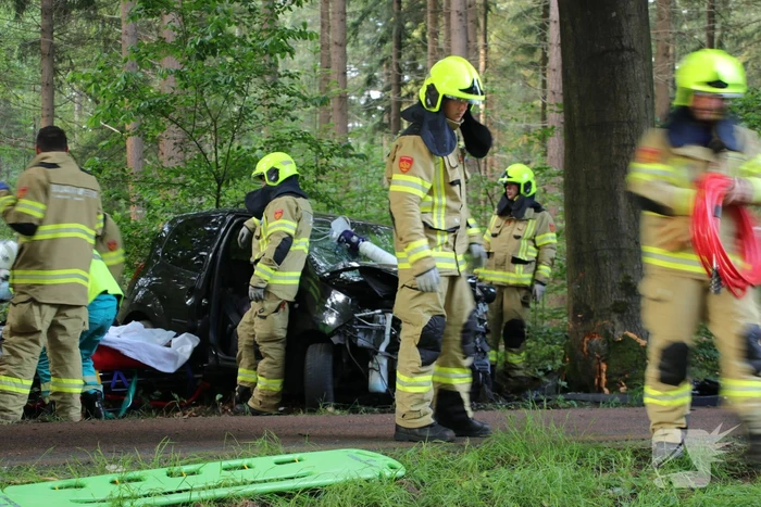 Auto botst op boom