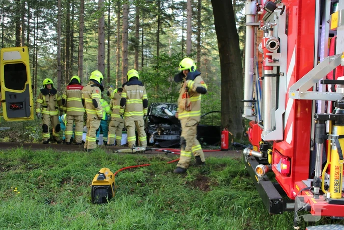 Auto botst op boom