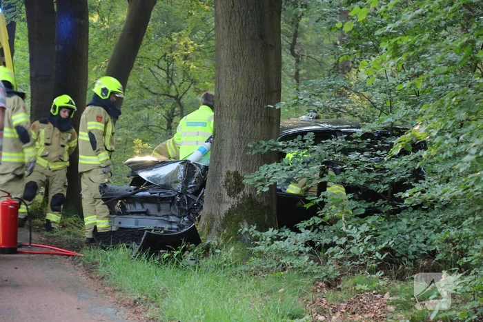 Auto botst op boom