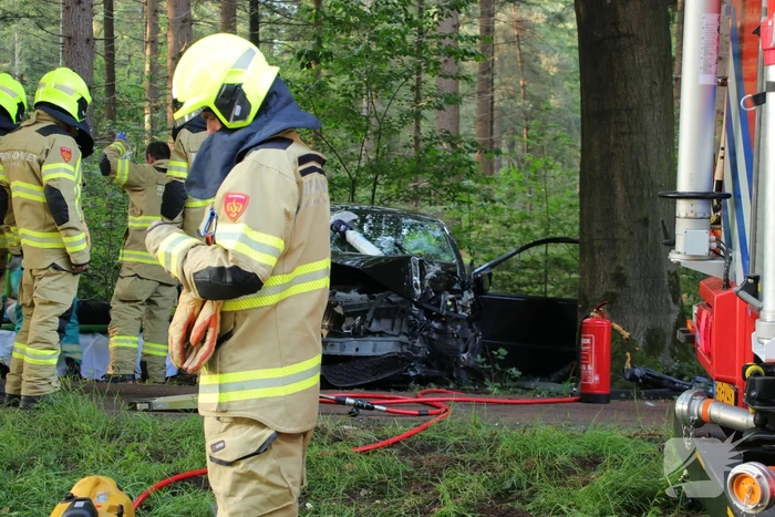 Auto botst op boom