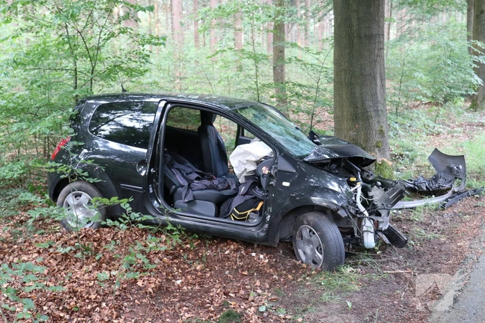 Auto botst op boom