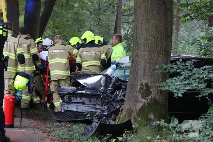 Auto botst op boom