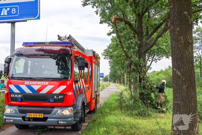Flinke tak boven fietspad breekt af