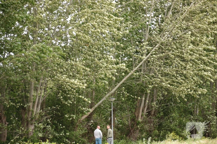 natuur nederwoudseweg barneveld