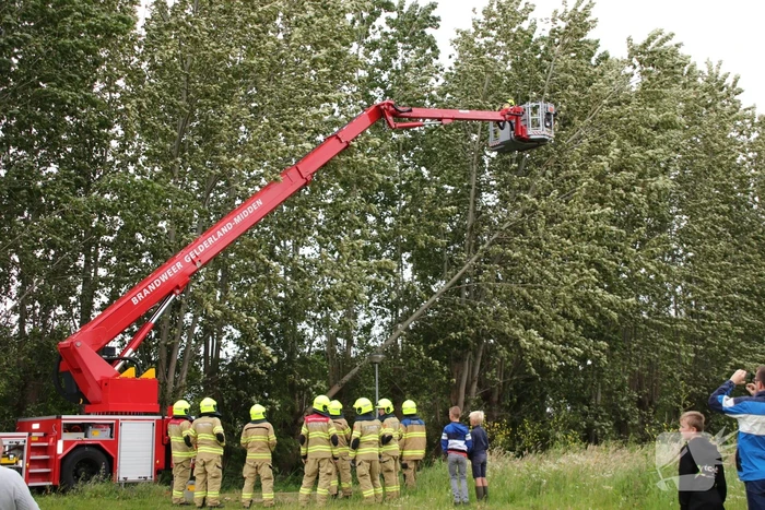 Afgesloten fietspad vanwege afgescheurde boom