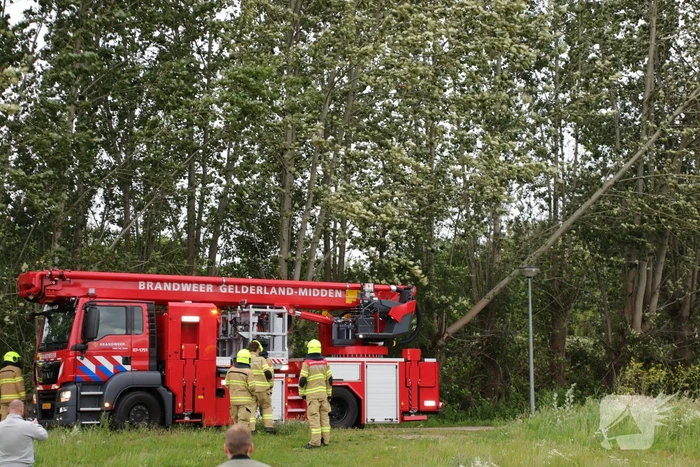 Afgesloten fietspad vanwege afgescheurde boom