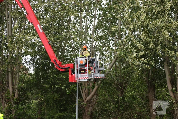 Afgesloten fietspad vanwege afgescheurde boom