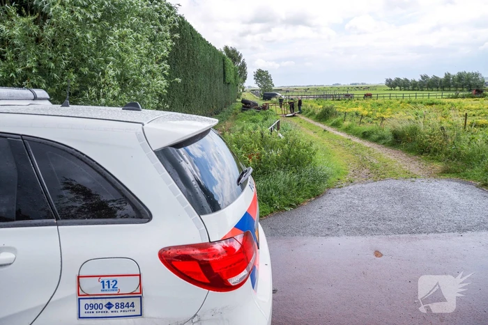 Persoon ernstig gewond bij snoeiwerkzaamheden