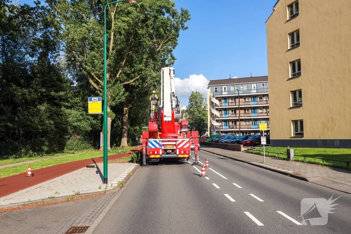 Meerdere levensgevaarlijk takken verwijderd