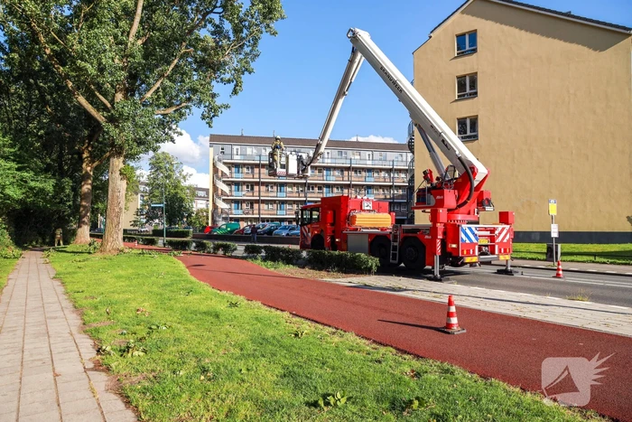 Meerdere levensgevaarlijk takken verwijderd