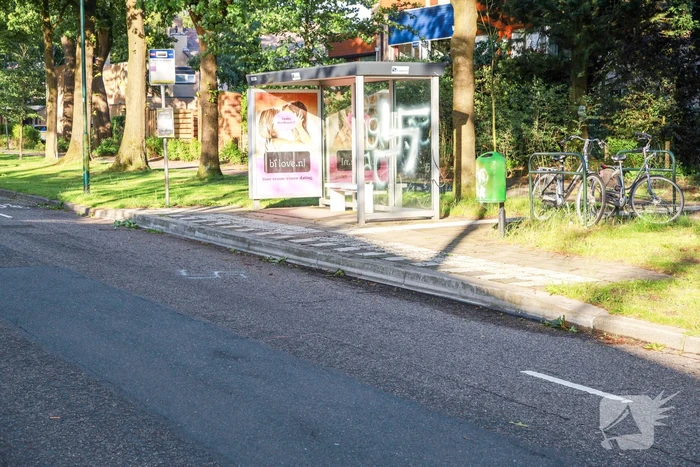 Bushokje beklad met hakenkruis