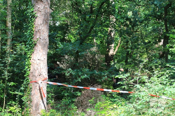 Stoffelijk overschot aangetroffen in bos