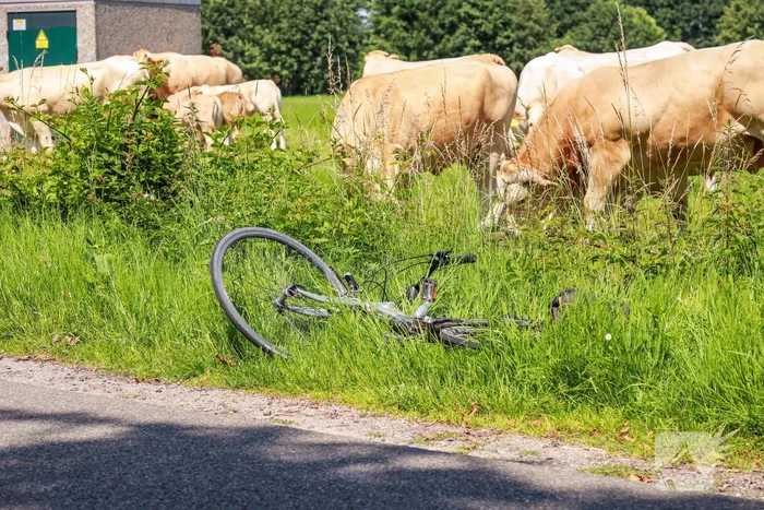 Fietsster ernstig gewond